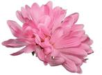 Dahlia Roze Zijdenbloem los 8-10 cm per stuk, Nieuw