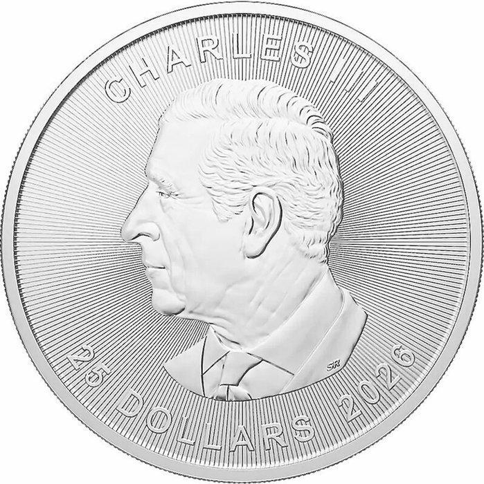 5 Troy Ounce - Zilver .999 - Maple Leaf 2026 - 155,5 gram -, Timbres & Monnaies, Métaux nobles & Lingots