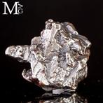 Campo del Cielo - Meteoriet – IJzer-Nikkel met