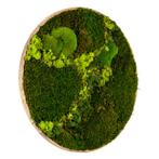 Mosschilderij Rond 100 cm Ongelakt Eiken - Svendborg Lentegr, Verzenden, Nieuw