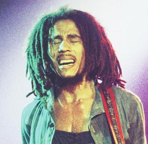 Gijsbert Hanekroot - Bob Marley, The Hague, 1977, Antiek en Kunst, Kunst | Schilderijen | Modern