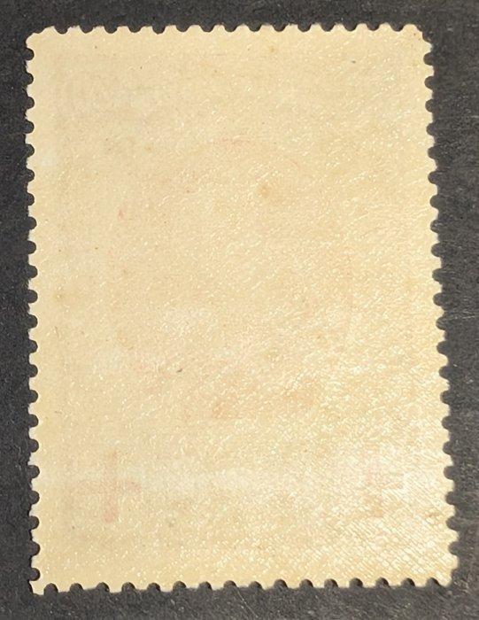 België 1915 - Rode Kruis zeldzame variëteit perforatie 12 x, Postzegels en Munten, Postzegels | Europa | België