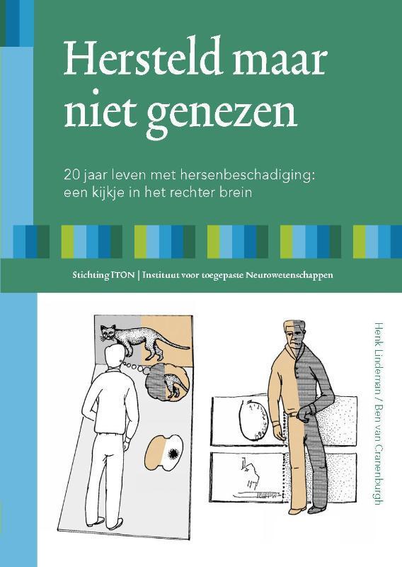 Hersteld maar niet genezen 9789080427549 Henk Lindeman, Boeken, Gezondheid, Dieet en Voeding, Zo goed als nieuw, Verzenden