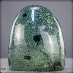 Natuurlijke Kambaba-vrije vorm Het groene fossiel van het, Antiek en Kunst