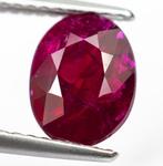 Zonder Minimumprijs Robijn - 2.00 ct - Lotus Gemology -, Handtassen en Accessoires, Edelstenen, Nieuw