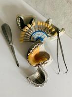 tandheelkundige instrumenten Tand - Konvolut verschiedener