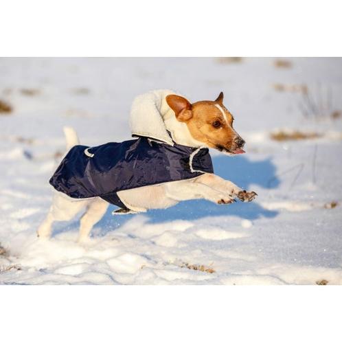 Manteau pour chien teddy longueur 48 cm, tour de taille 53 -, Dieren en Toebehoren, Honden-accessoires