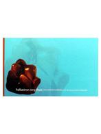 Palliatieve zorg thuis 9789080617216, Boeken, Verzenden, Zo goed als nieuw