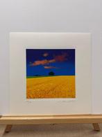 Giò Mondelli(1953) - Estate in Provenza, Antiek en Kunst