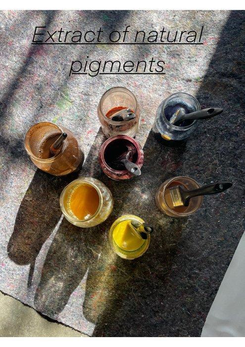 Serena Grassetti - Pigments Dream #4 (Pigments of Nature ), Antiek en Kunst, Kunst | Schilderijen | Modern