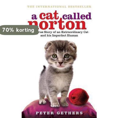 Cat Called Norton 9780091933296 Peter Gethers, Boeken, Overige Boeken, Gelezen, Verzenden