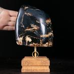 Fossiele barnsteenmonster uit Sumatra - Zeldzaam exemplaar