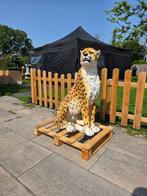 Statue, XL Cheetah - 91.5 cm - Résine