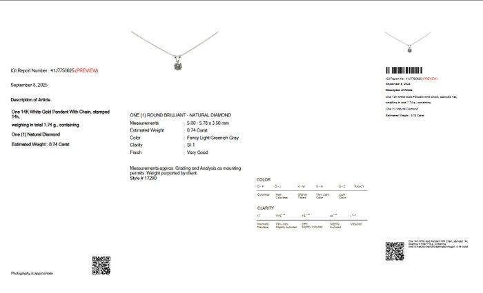 Zonder Minimumprijs - Ketting met hanger - 14 karaat Witgoud, Handtassen en Accessoires, Antieke sieraden