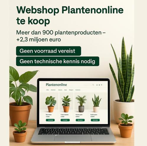 Professionele webshop te koop  100 % Dropshipping, Zakelijke goederen, Exploitaties en Overnames