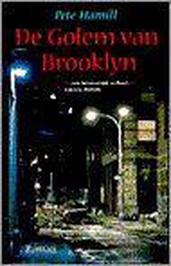 De Golem van Brooklyn 9789055014910 P. Hamill, Boeken, Romans, Gelezen, Verzenden