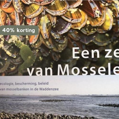 Een zee van mosselen 9789081524827 Frouke Fey-Hofstede, Boeken, Hobby en Vrije tijd, Zo goed als nieuw, Verzenden