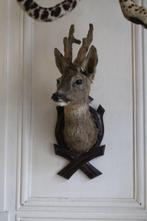 Trophée de chasse, Nieuw