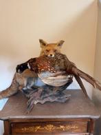 Renard roux Support de corps entier pour taxidermie - Vulpes, Nieuw