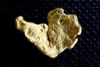 Or Natif, Pépites dor naturel (gold nugget) - 0.652 g - (1)