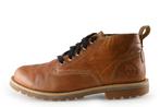Timberland Veterboots in maat 44 Cognac, Kleding | Heren, Schoenen, Overige kleuren, Verzenden, Timberland, Boots