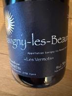 2023 Brice Martin Savigny Les Beaune Les Vermots,