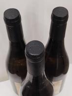 2015 Domaine Patrick Baudouin Les Gâts - Anjou - 3 Flessen, Verzamelen, Nieuw
