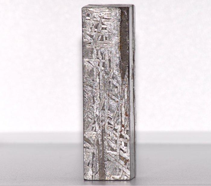 Aletai meteoriet Authentic Armanty Altay Iron Meteorite –, Collections, Minéraux & Fossiles