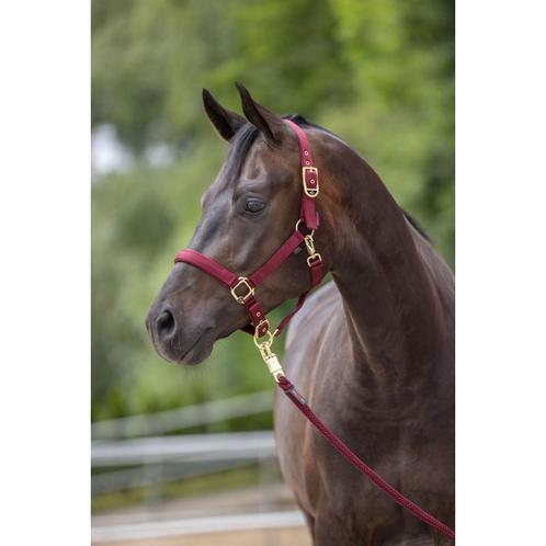 Halster classy- merlot - pony - kerbl, Dieren en Toebehoren, Paarden en Pony's | Overige Paardenspullen, Nieuw