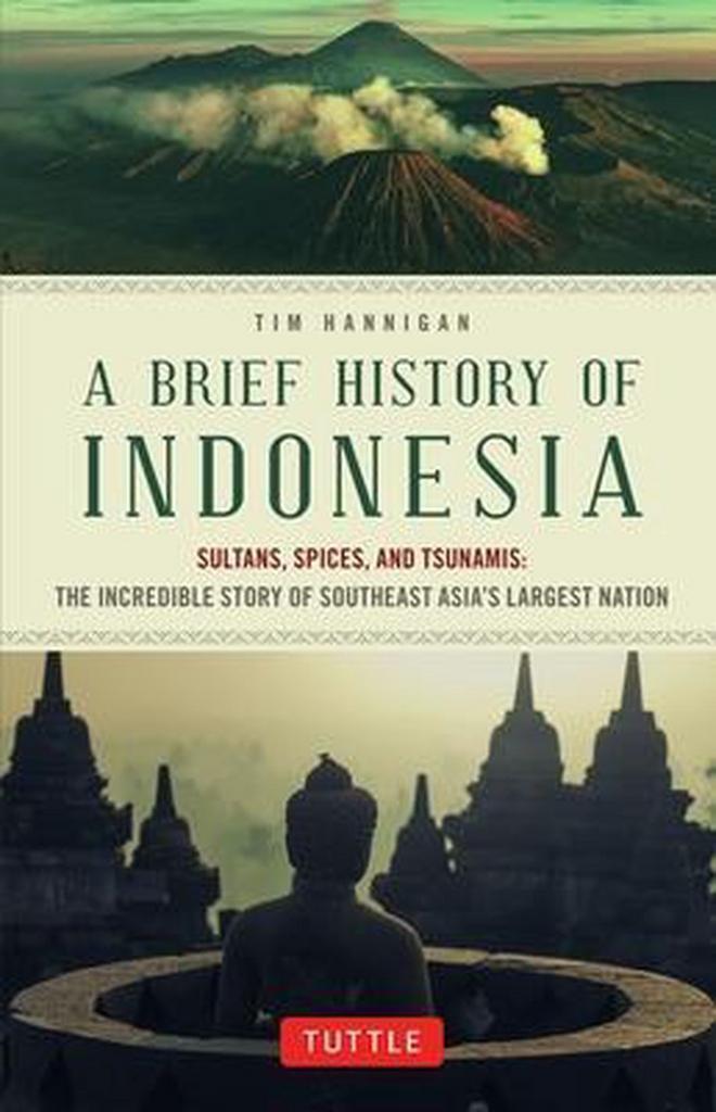 A Brief History of Indonesia 9780804844765 Tim Hannigan, Boeken, Taal | Engels, Zo goed als nieuw, Verzenden