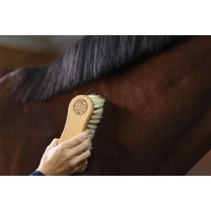 Brosse pour chevaux combinée magicbrush - la brosse pour, Huis en Inrichting, Schoonmaakartikelen