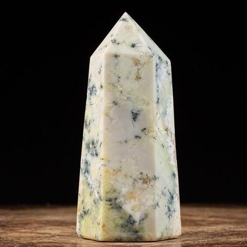 Obélisque en agate dendritique - Madagascar - Minéral de, Verzamelen, Dierenverzamelingen