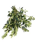 Ilex blad groen zonder bes Bundel, Huis en Inrichting, Woonaccessoires | Kunstplanten en Kunstbloemen, Nieuw