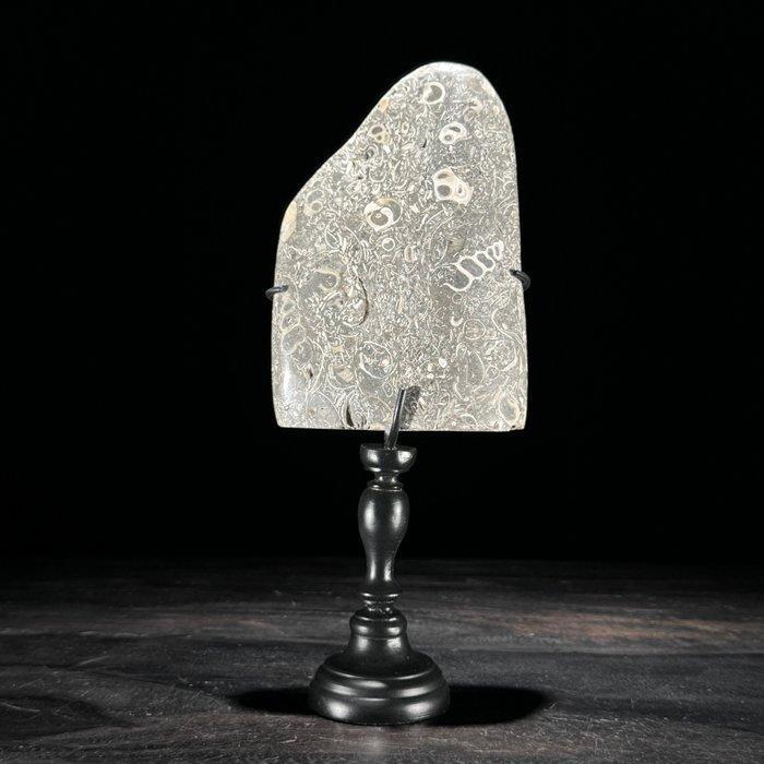 Ornement décoratif (2) - NO RESERVE PRICE - Stunning Pair of, Antiek en Kunst, Kunst | Designobjecten