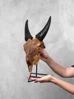 Aucun prix de réserve - Main brune authentique - Crâne de, Antiek en Kunst