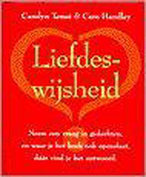 Liefdeswijsheid 9789055016846 C. Temsi, Boeken, Politiek en Maatschappij, Gelezen, Verzenden