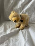 Steiff - Teddybeer Steiff Eisbär - 1910-1920 - Duitsland, Antiek en Kunst