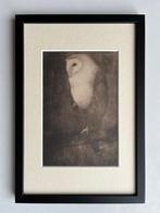 Jan Mankes (1889-1920), after - Uil op boomtak, Antiek en Kunst
