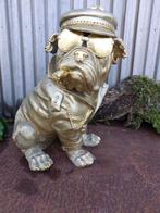 Beeld, sitting English bulldog biker - 33 cm - hoogwaardig, Antiek en Kunst