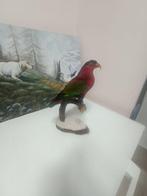 zwartkop-lorikeet Taxidermie volledige montage - Lorius lory, Verzamelen, Dierenverzamelingen, Nieuw
