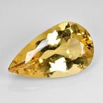 Geel Beril - 20.18 ct - International Gemological Institute, Nieuw