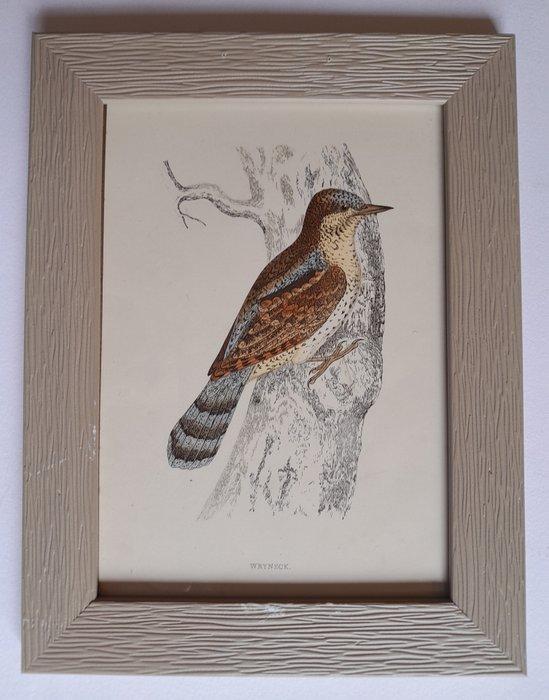 Francis Orpen Morris - 1880 - a collection of five framed, Antiek en Kunst, Curiosa en Brocante