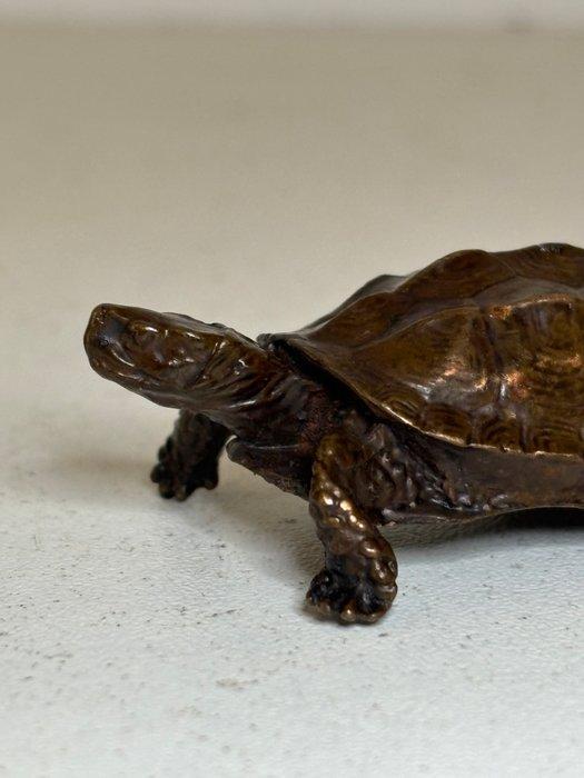 Beeld, Schildpad - 15 mm - Brons, Antiek en Kunst, Curiosa en Brocante