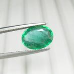 1 pcs Groen Smaragd - 2.86 ct - nternational Colored, Nieuw