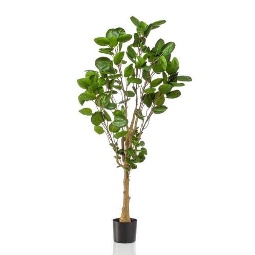 Kunstplant - Polyscias - Aralia - 150 cm, Maison & Meubles, Accessoires pour la Maison | Plantes & Fleurs artificielles