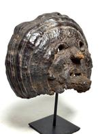 Masque de champignon Mangeur de brouillard - Népal (Sans