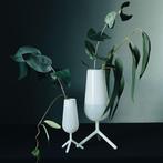 Maarten Baptist - Set of 2 Milky White Champagne Glasses and