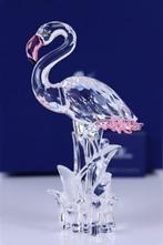 Figure - Swarovski - Flamingo (Boxed + Certificate) -