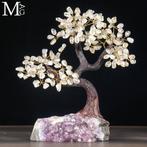 Kristallen kwarts Boom des Levens op natuurlijke amethist