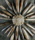 Fossiele zeester van hoge kwaliteit!!! - Pantser met, Verzamelen